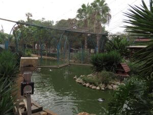 Petah Tikva Zoo