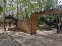 Phu Faek Forest Park, Dinosaur Footprints Travel Forum Reviews