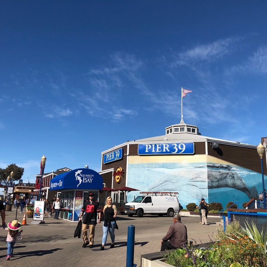 Pier 39 Fisherman’s Wharf