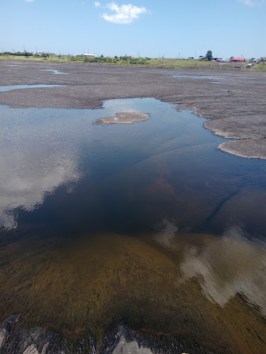 Pitch Lake