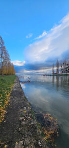 Plage des chiens