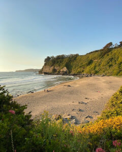 Playa Rocoto