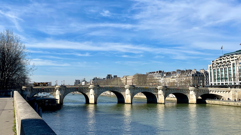 Pont Neuf Travel Forum Reviews