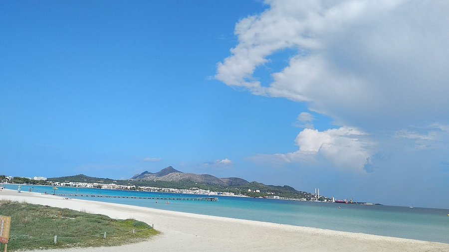 Port d’Alcudia and beach views