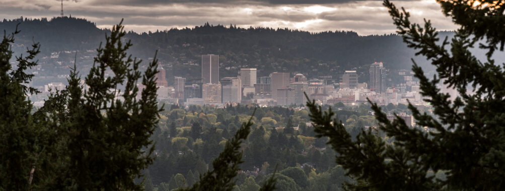 Portland Timbers Football Game at Providence Park Stadium Review