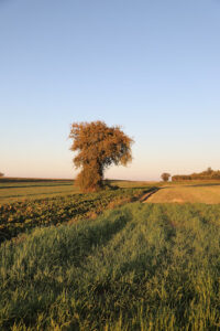 Punkt widokowy Żeglarska