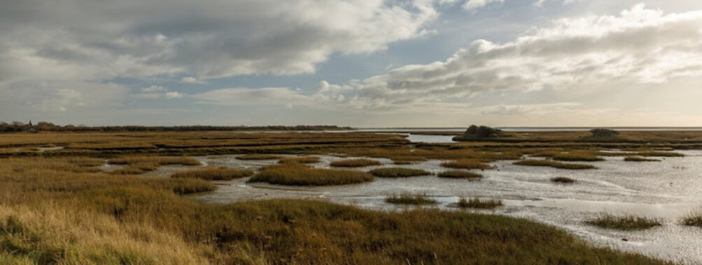 RSPB Pagham Harbour LNR Travel Forum Reviews