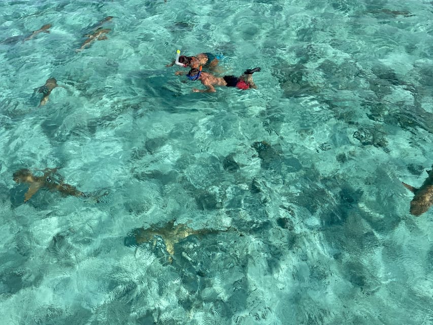 Snorklers at Rangiroa, French Polynesia