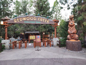 Redwood Creek Challenge Trail