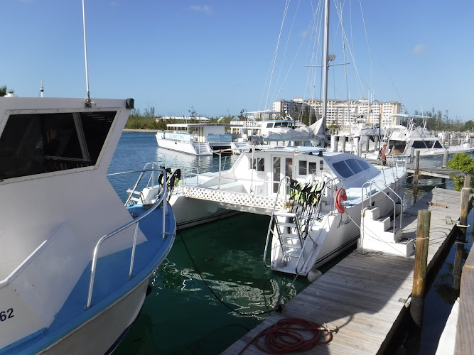 Reef Tours