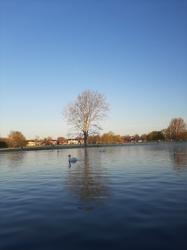 Regatta Meadow