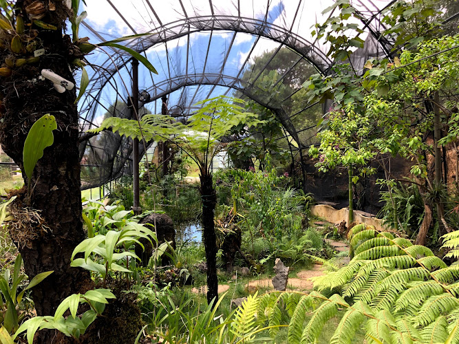 Reserva Ecológica y Jardín de Orquídeas Moxviquil