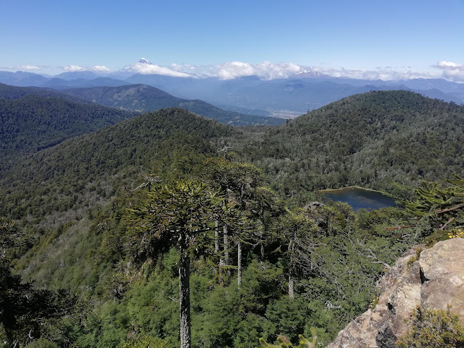 Reserva Nacional Villarrica