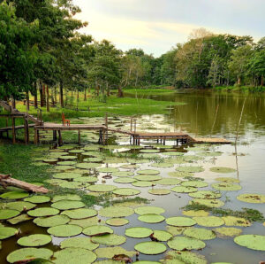 Reserva Victoria Regia