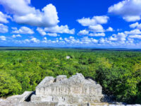 Reserva de la Biósfera Calakmul Travel Forum Reviews