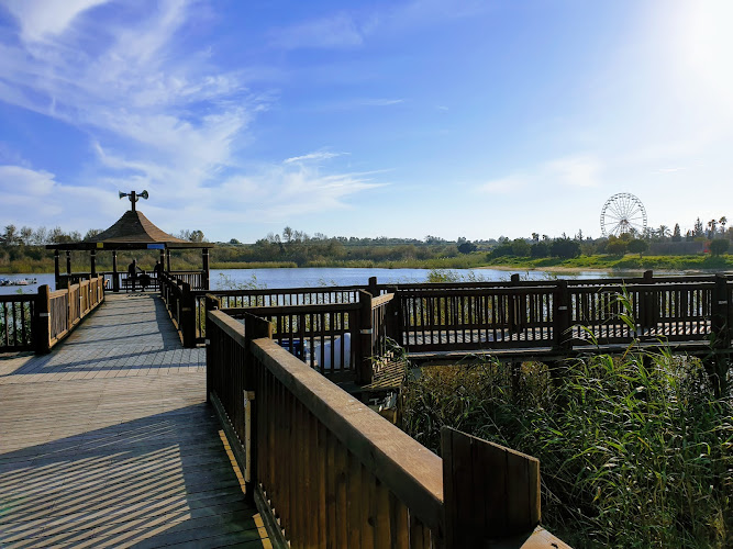 Rishon LeZion lake