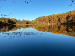 Rockefeller State Park Preserve