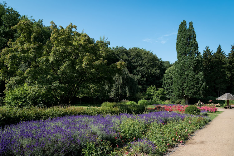 Rosengarten