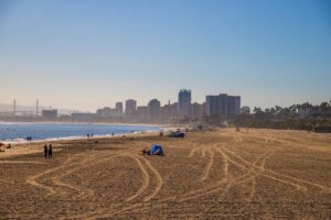 Rosie's Dog Beach