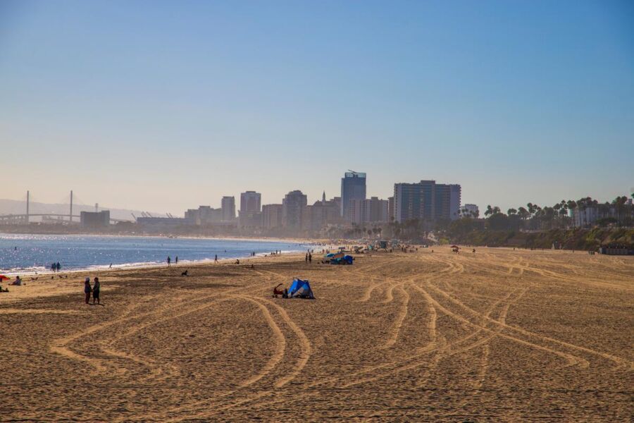 Rosie’s Dog Beach