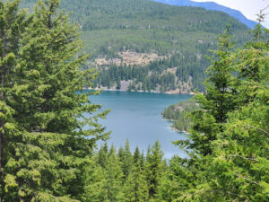 Ross Lake Overlook