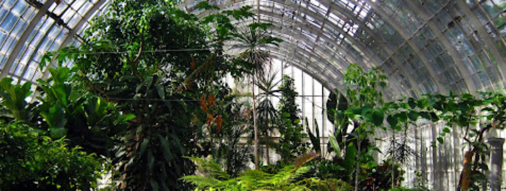 Rouen Botanical Garden Travel Forum Reviews