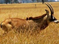 Ruma National Park Travel Forum Reviews