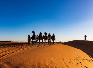 Sahara Desert Trips & Morocco Travels