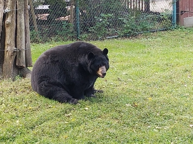 Salato Wildlife Education Center