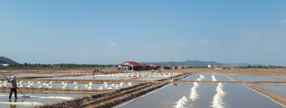 Salt fields Travel Forum Reviews