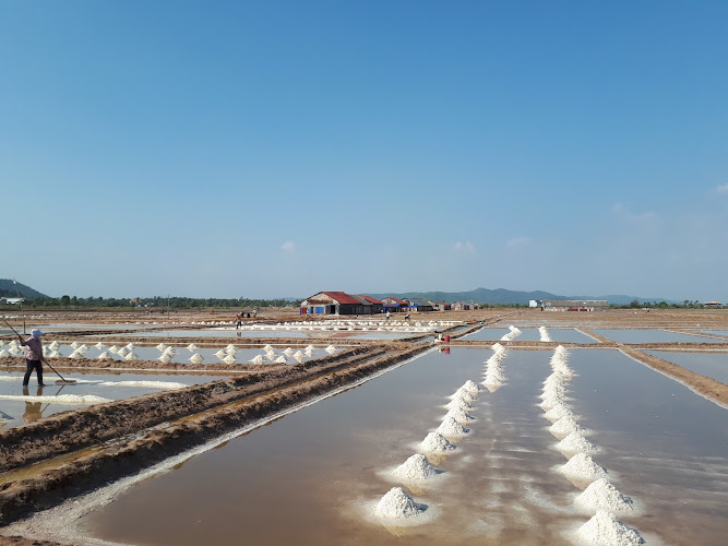 Salt fields