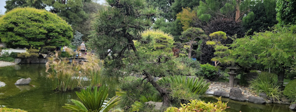 San Mateo Japanese Garden Travel Forum Reviews