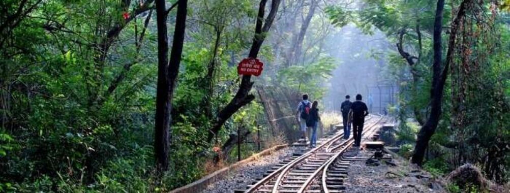 Sanjay Gandhi National Park Travel Forum Reviews