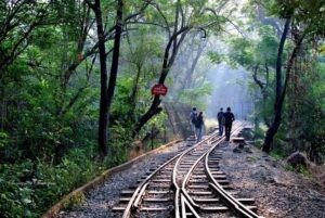 Sanjay Gandhi National Park