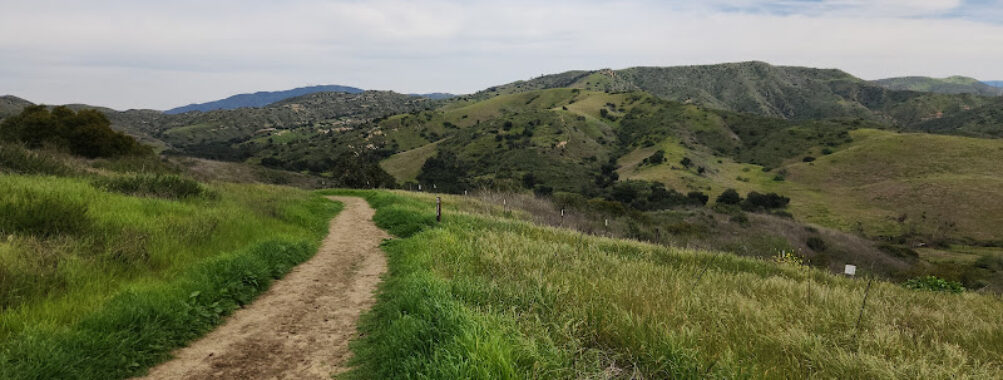 Santiago Oaks Regional Park Travel Forum Reviews