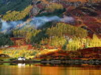 Colorful foliages in autumn at Saxon Switzerland National Park