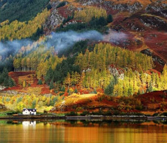 Colorful foliages in autumn at Saxon Switzerland National Park