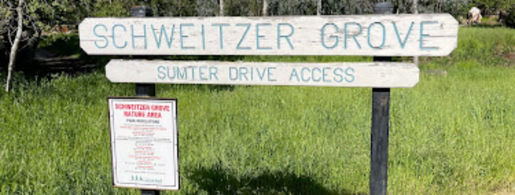 Schweitzer Grove Nature Area Travel Forum Reviews