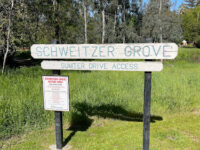 Schweitzer Grove Nature Area Travel Forum Reviews