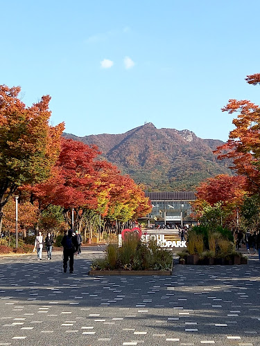 Seoul Grand Park Reviews & Ratings: What to Know for Visiting