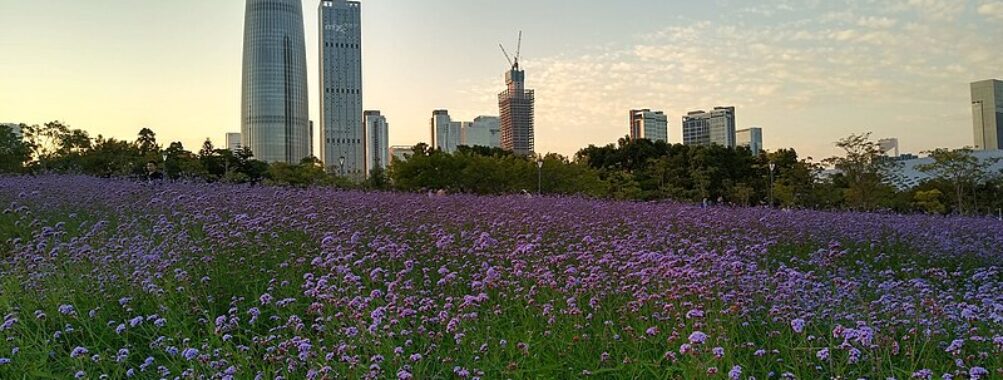 Shenzhen Bay Park