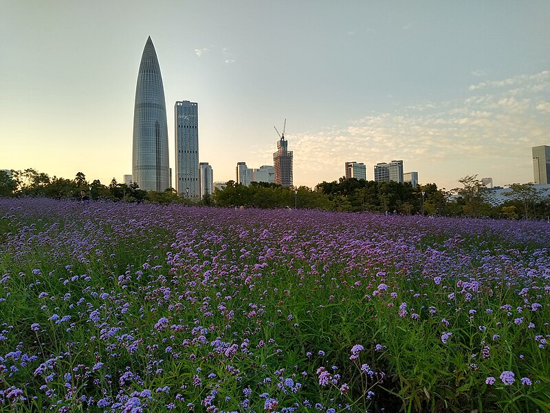 Shenzhen Bay Park