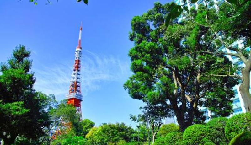 Shiba Park in Japan