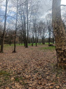 Sisak Sculpture Park