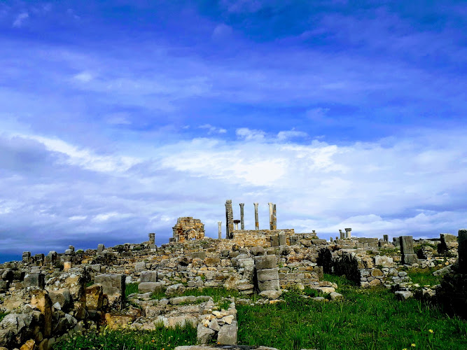 Site Archéologique de Volubilis