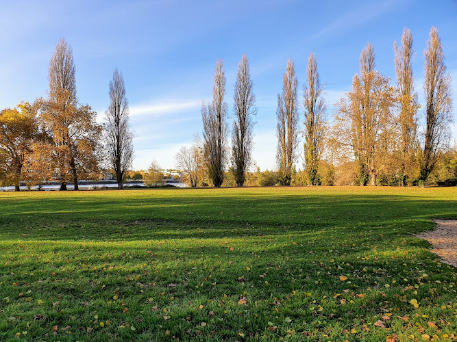 Skatepark de l’île aux dames