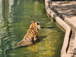 Smithsonian National Zoological Park