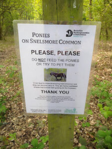 Snelsmore Common Country Park