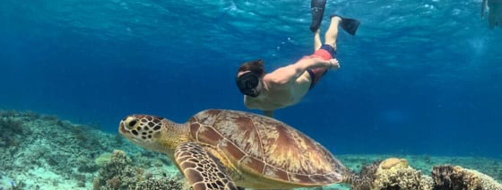 Tourist snorkeling in Lombok