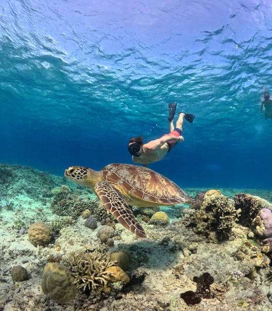 Tourist snorkeling in Lombok